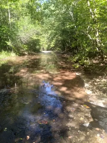 29 Gibbs Road Ashland City TN 37015