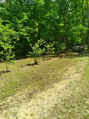 29 Gibbs Road Ashland City TN 37015