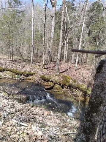 29 Gibbs Road Ashland City TN 37015