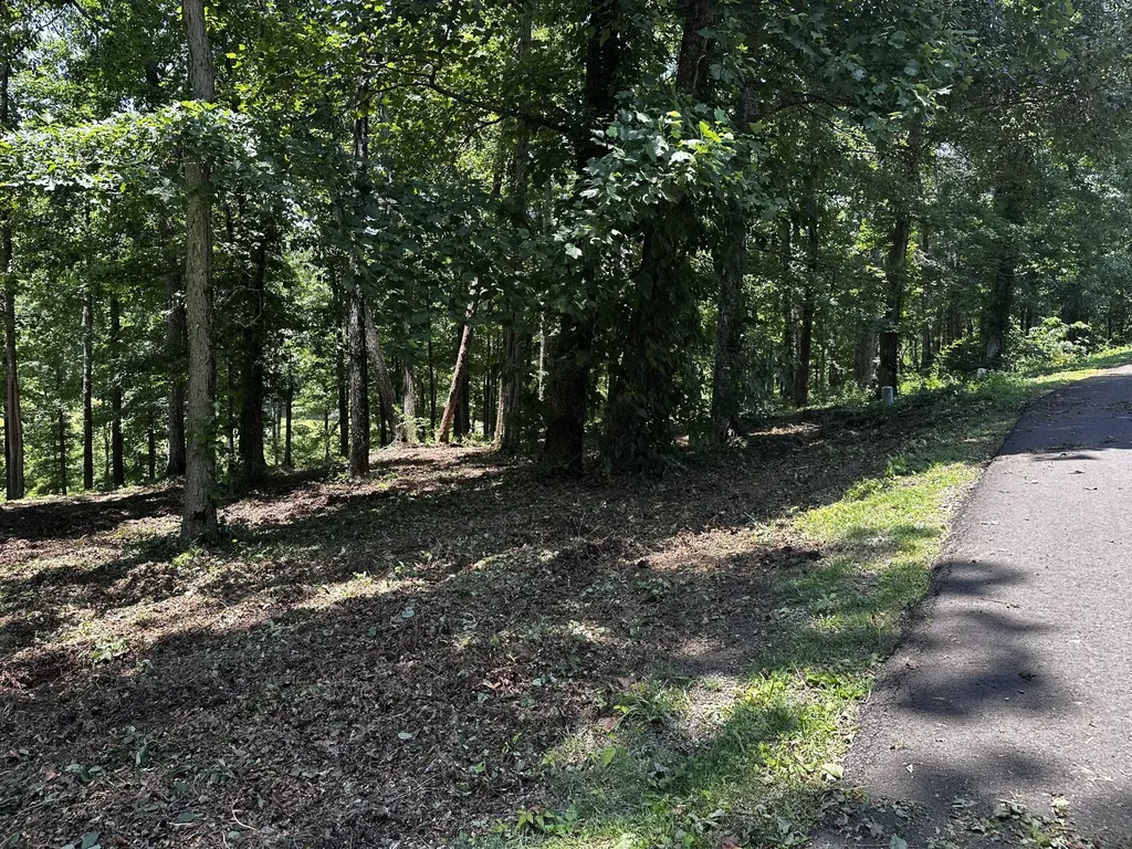196 Fairway Circle Loretto TN 38469