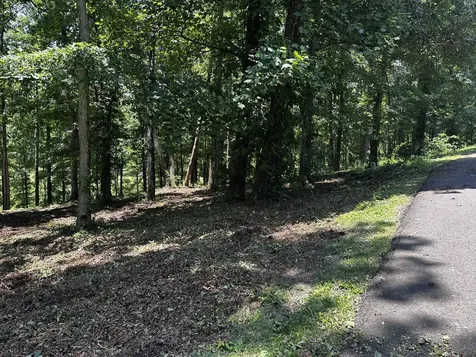 196 Fairway Circle Loretto TN 38469
