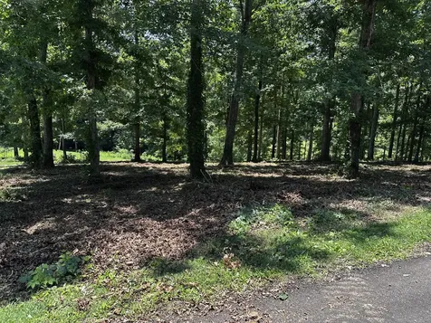 196 Fairway Circle Loretto TN 38469