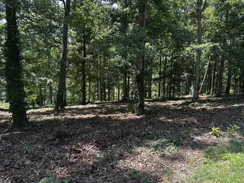 196 Fairway Circle Loretto TN 38469