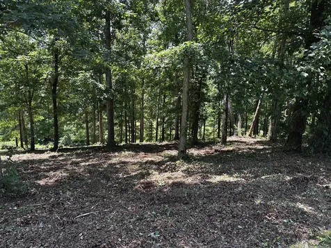 196 Fairway Circle Loretto TN 38469
