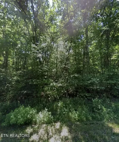 6115 Pocahontas Lane Crossville TN 38572