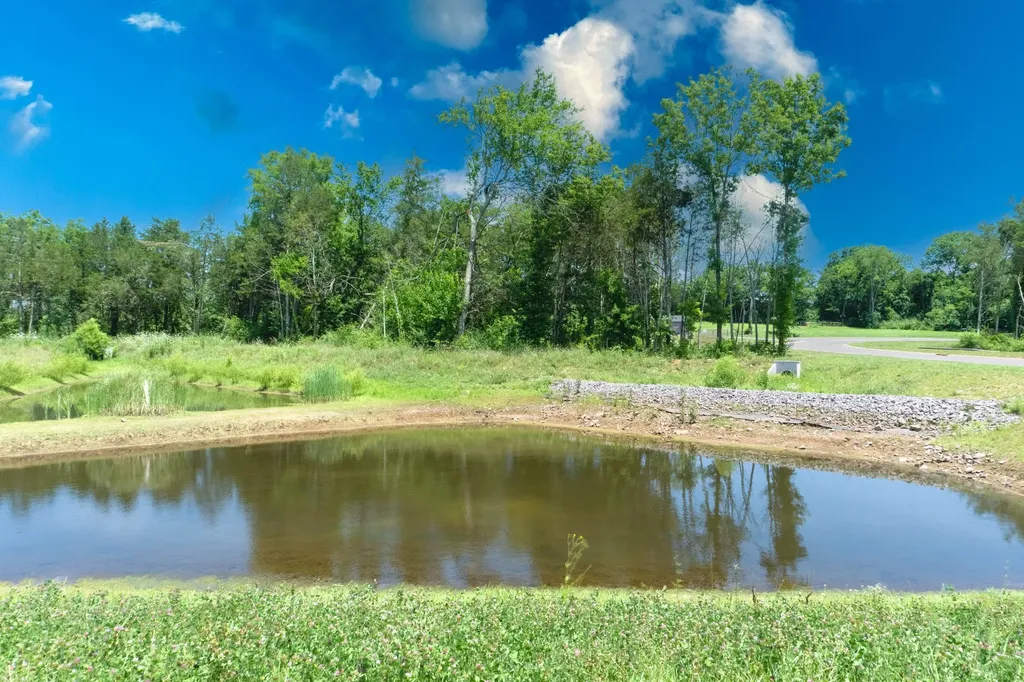 3002 Stonehorn Drive Bell Buckle TN 37020