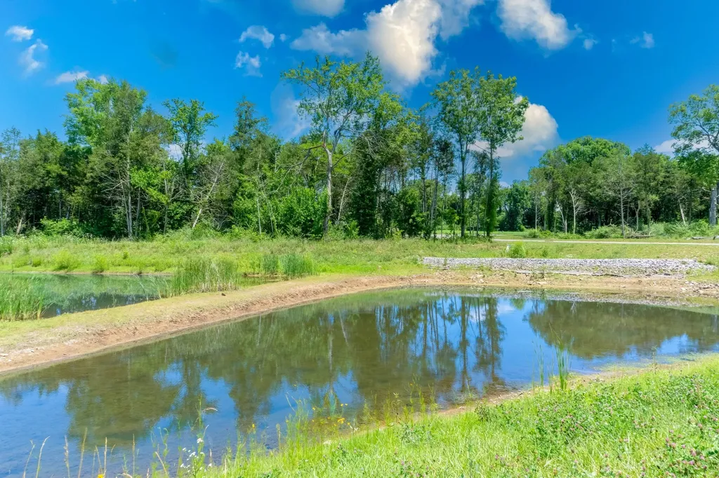 3002 Stonehorn Drive Bell Buckle TN 37020