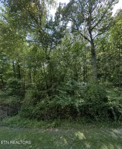 6310 Osage Road Crossville TN 38572