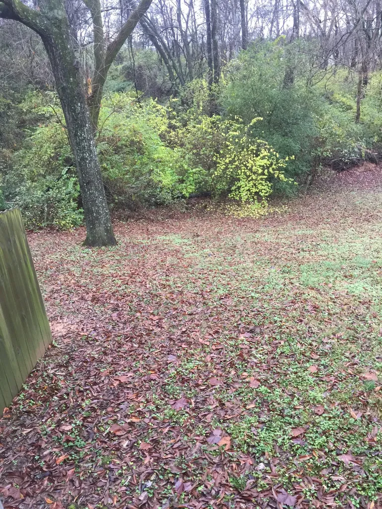 425 Ezell Pike Nashville TN 37217