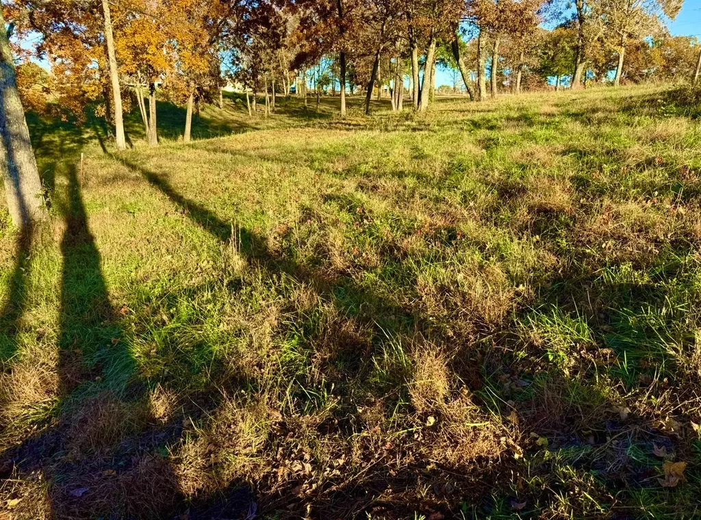 0 Short Mountain Smithville TN 37166