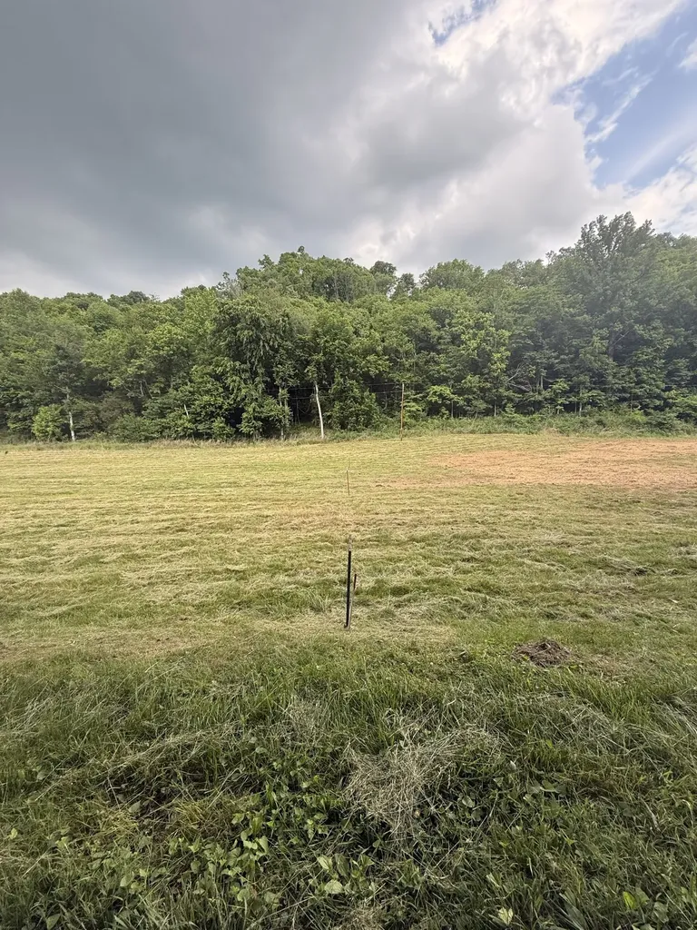 0 Hurricane Branch Lane Gainesboro TN 38562