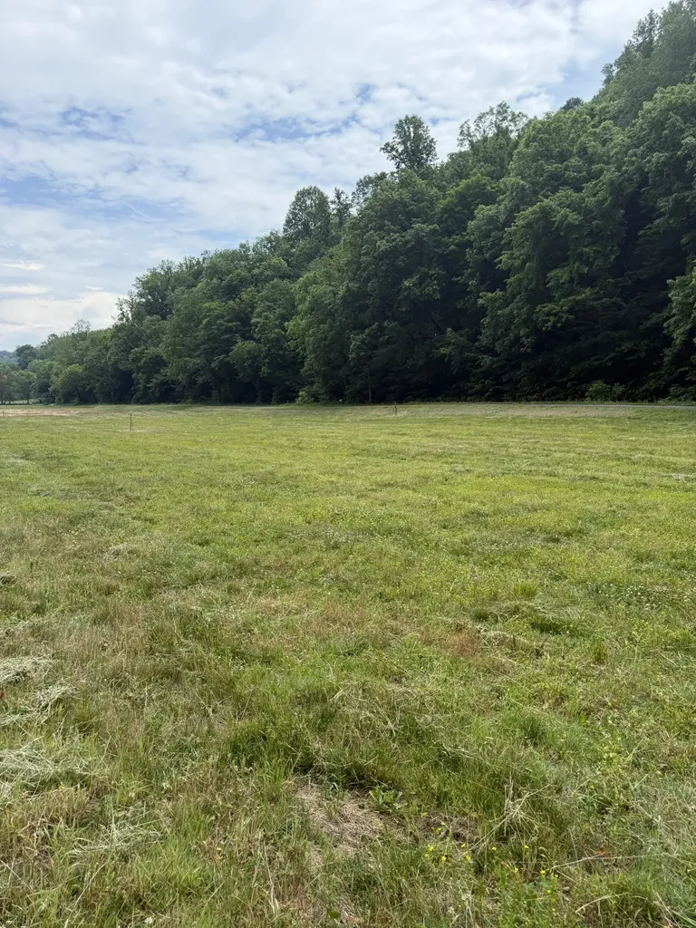 0 Hurricane Branch Lane Gainesboro TN 38562