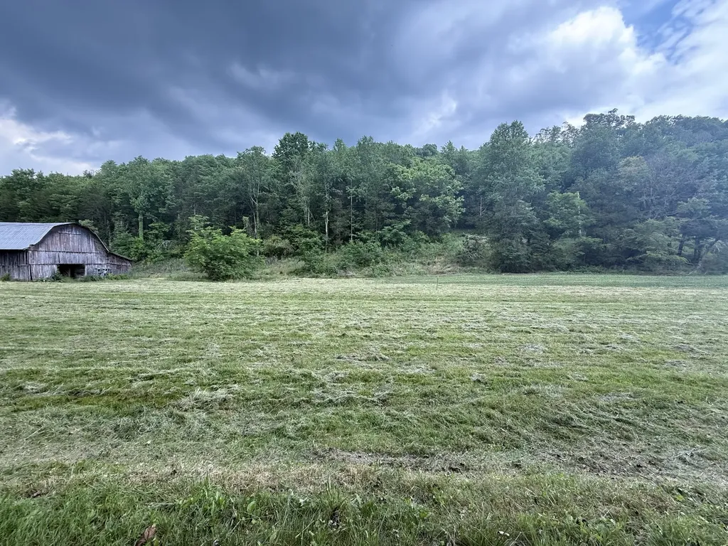 0 Hurricane Branch Lane Gainesboro TN 38562