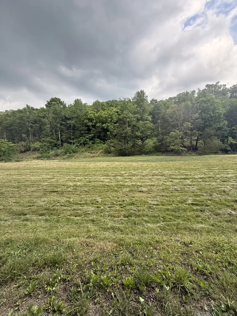 0 Hurricane Branch Lane Gainesboro TN 38562