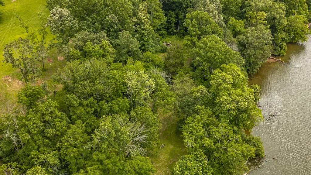 1113 E Robertson Road Castalian Springs TN 37031