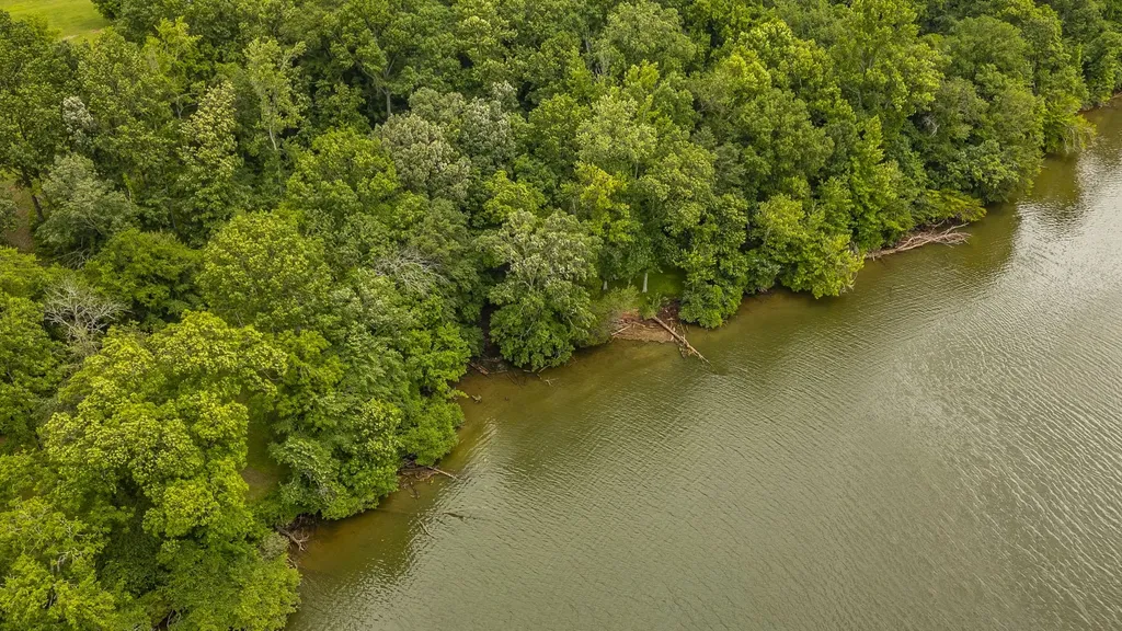 1113 E Robertson Road Castalian Springs TN 37031