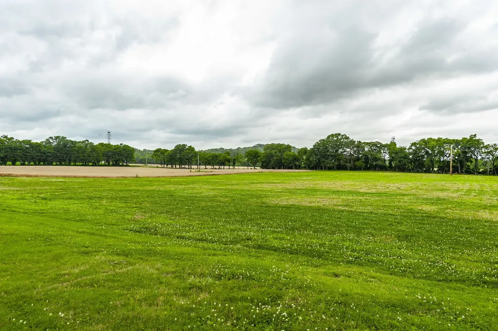 1113 E Robertson Road Castalian Springs TN 37031