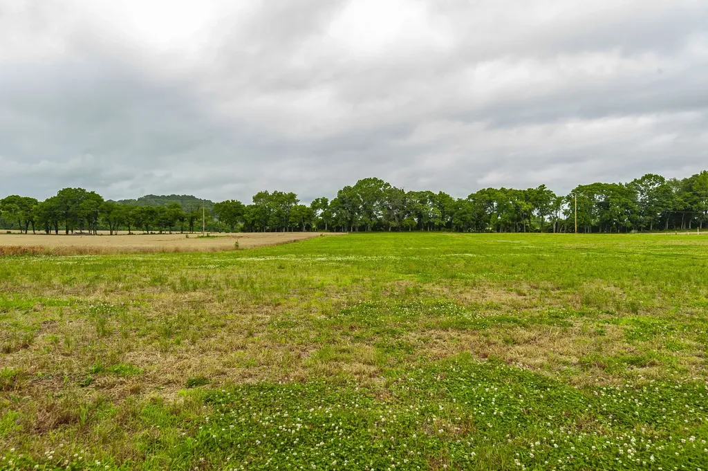 1113 E Robertson Road Castalian Springs TN 37031