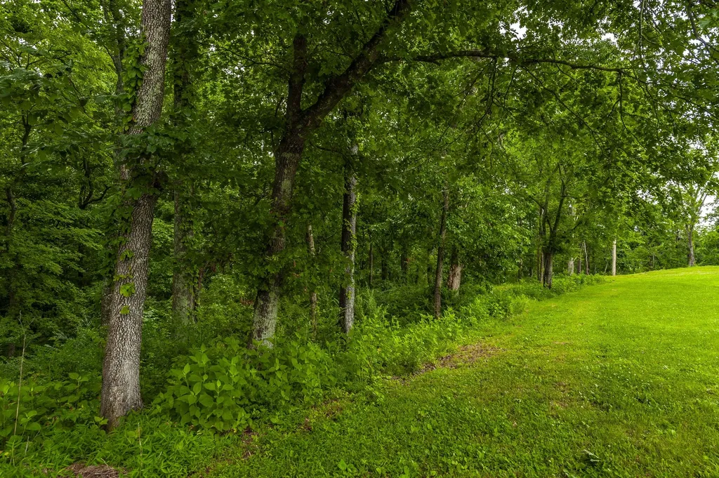 1113 E Robertson Road Castalian Springs TN 37031