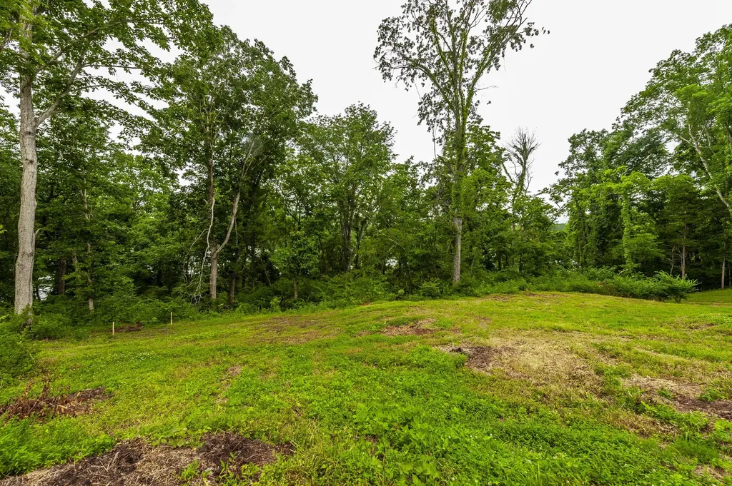1113 E Robertson Road Castalian Springs TN 37031