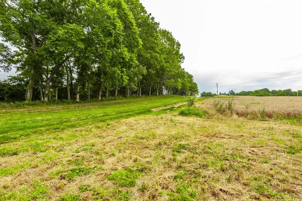1113 E Robertson Road Castalian Springs TN 37031