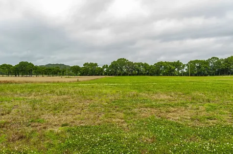 1113 E Robertson Road Castalian Springs TN 37031