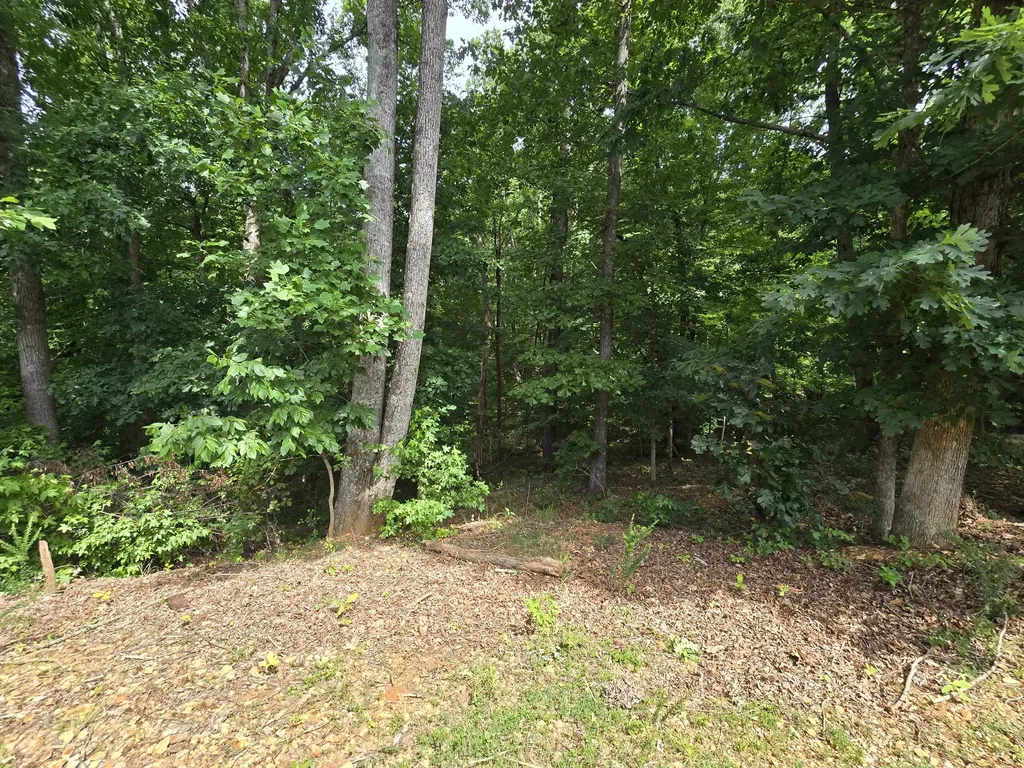1195 Boulder Pass Road Clarksville TN 37040