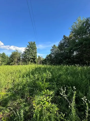 3061 Hilham Hwy Tract 7 Of Hilham TN 38568