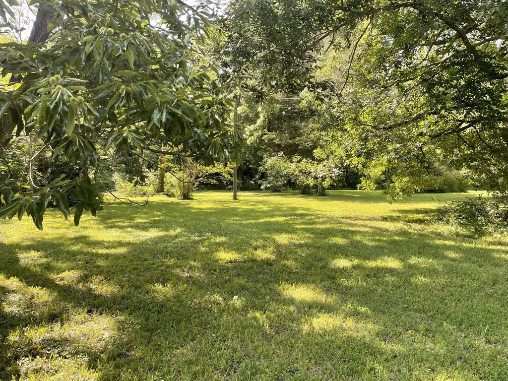 4553 Spring Place Road, SE Cleveland TN 37323
