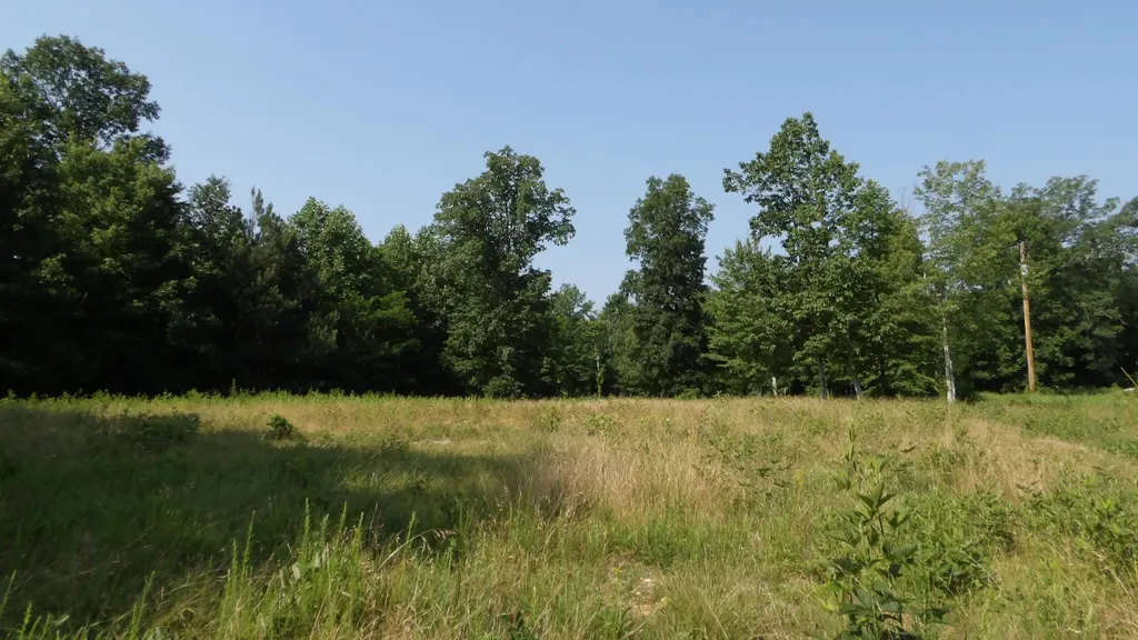 0 Pleasant Cemetery Lane Gainesboro TN 38562