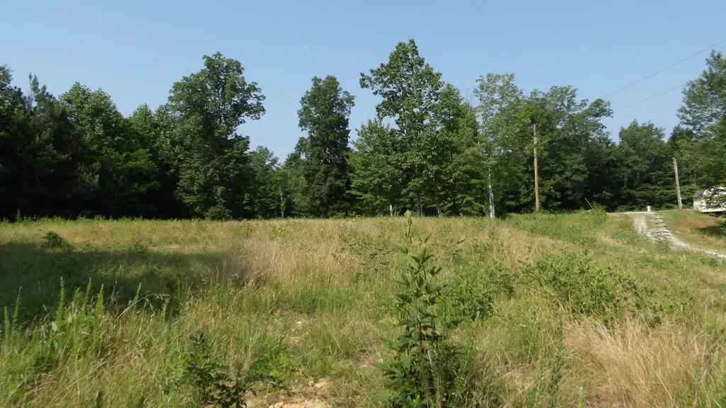 0 Pleasant Cemetery Lane Gainesboro TN 38562