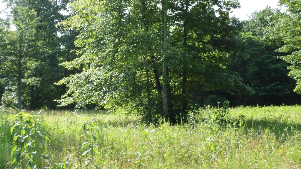 0 Pleasant Cemetery Lane Gainesboro TN 38562