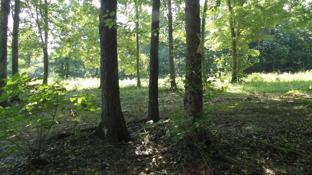 0 Pleasant Cemetery Lane Gainesboro TN 38562