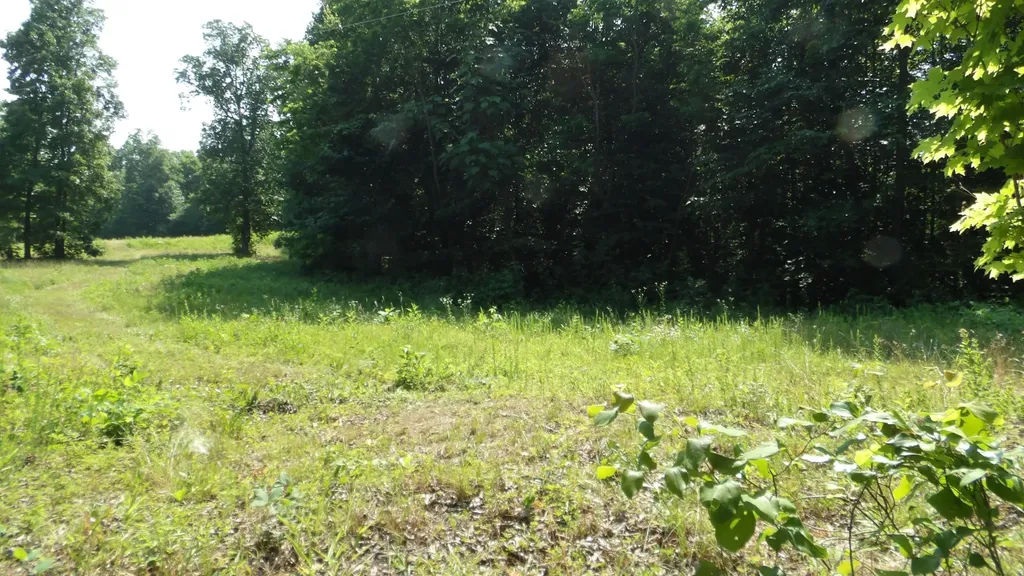 0 Pleasant Cemetery Lane Gainesboro TN 38562