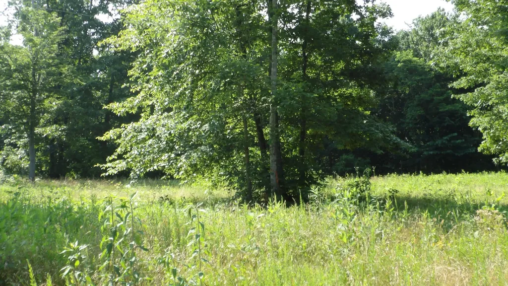 0 Pleasant Cemetery Lane Gainesboro TN 38562
