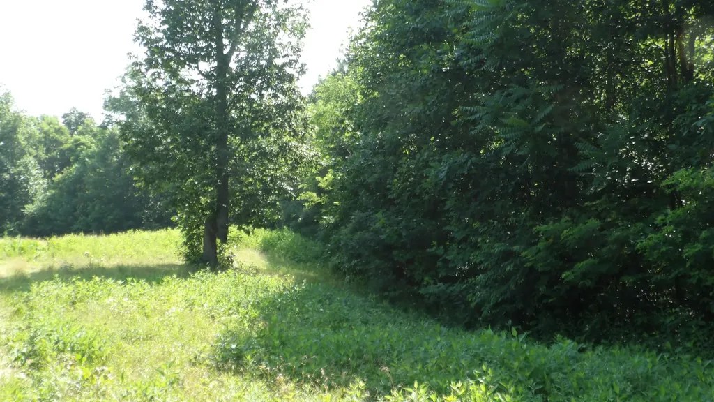 0 Pleasant Cemetery Lane Gainesboro TN 38562