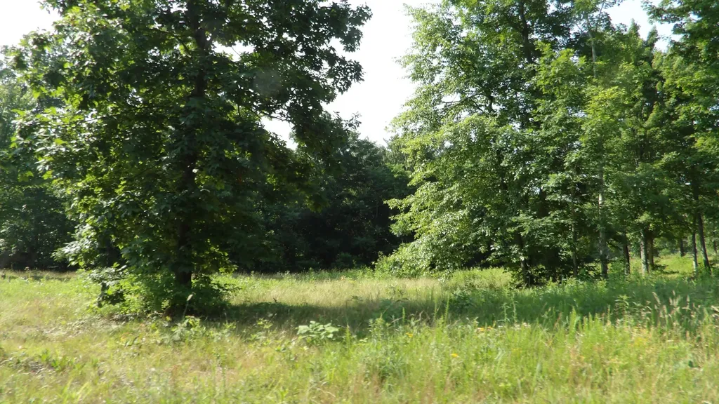 0 Pleasant Cemetery Lane Gainesboro TN 38562