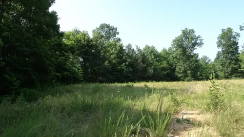0 Pleasant Cemetery Lane Gainesboro TN 38562