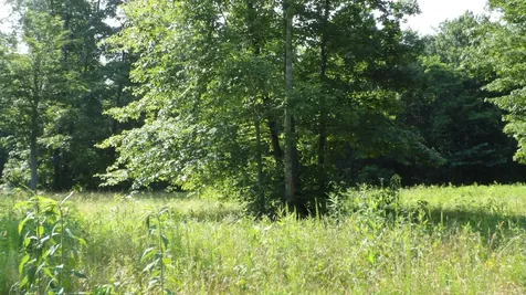 0 Pleasant Cemetery Lane Gainesboro TN 38562