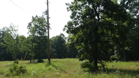 0 Pleasant Cemetery Lane Gainesboro TN 38562