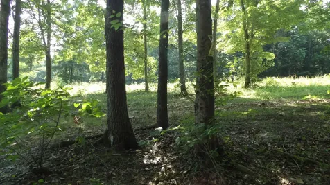 0 Pleasant Cemetery Lane Gainesboro TN 38562
