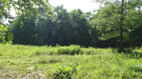 0 Pleasant Cemetery Lane Gainesboro TN 38562