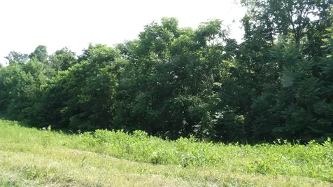 0 Pleasant Cemetery Lane Gainesboro TN 38562
