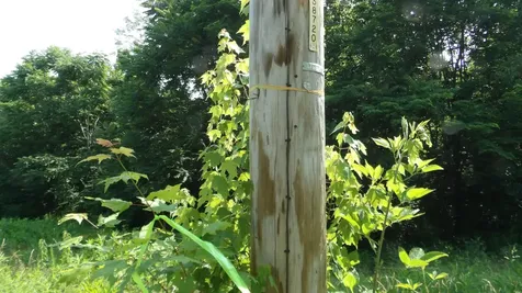 0 Pleasant Cemetery Lane Gainesboro TN 38562