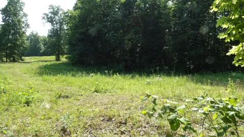 0 Pleasant Cemetery Lane Gainesboro TN 38562