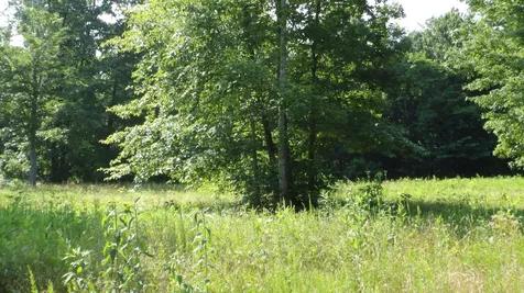 0 Pleasant Cemetery Lane Gainesboro TN 38562