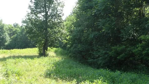 0 Pleasant Cemetery Lane Gainesboro TN 38562