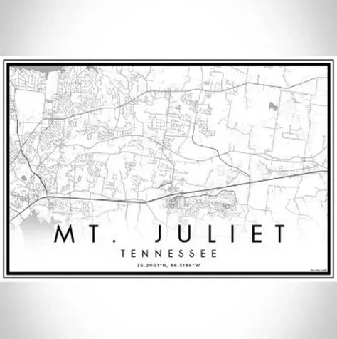 1174 Sydney Terrace Mount Juliet TN 37122