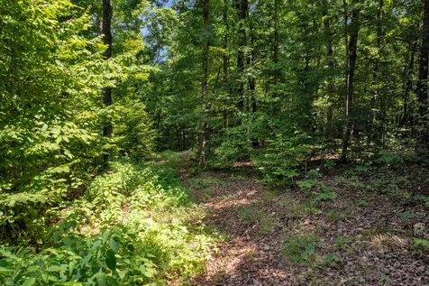 226 Skip Jack Lane Cadiz KY 42211