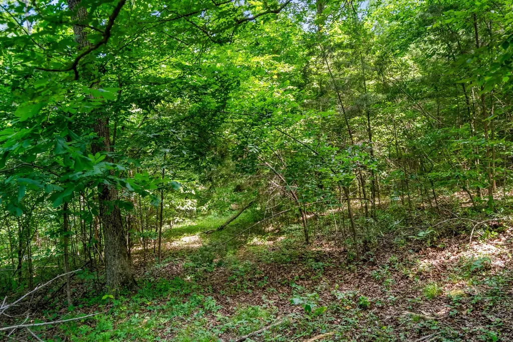 500 Moncrief Avenue Goodlettsville TN 37072